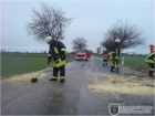 Baum auf Straße