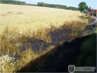 Flächenbrand