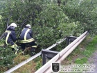 mehrere große Äste auf Fahrbahn