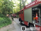 Flächenbrand